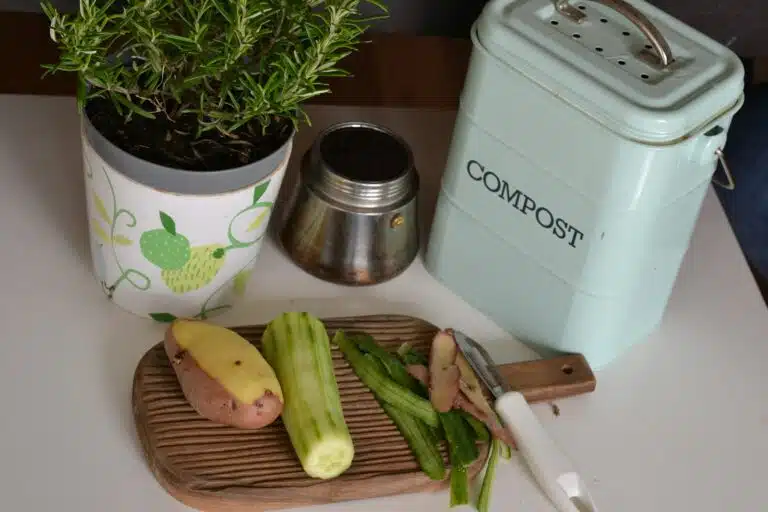 "Contenedor de compost con restos de vegetales junto a una planta en maceta, representando prácticas de residuo cero."